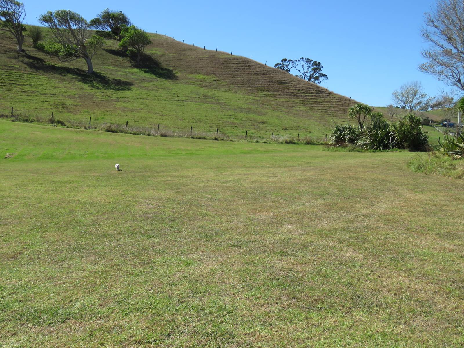 10 Chilcott Road, Whananaki, Whangarei, 0 ਕਮਰੇ, 0 ਬਾਥਰੂਮ, Section