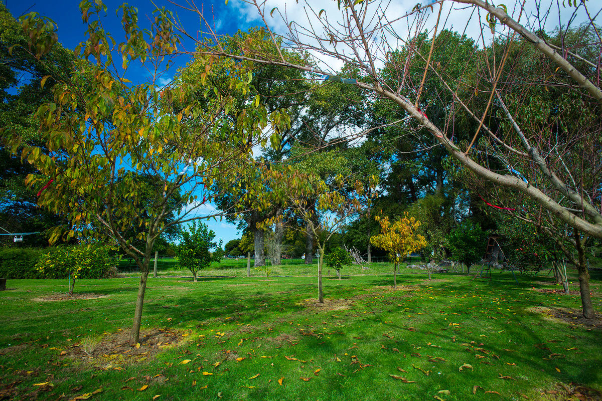 Lavenham Road, Waituhi, Gisborne, 0房, 1浴