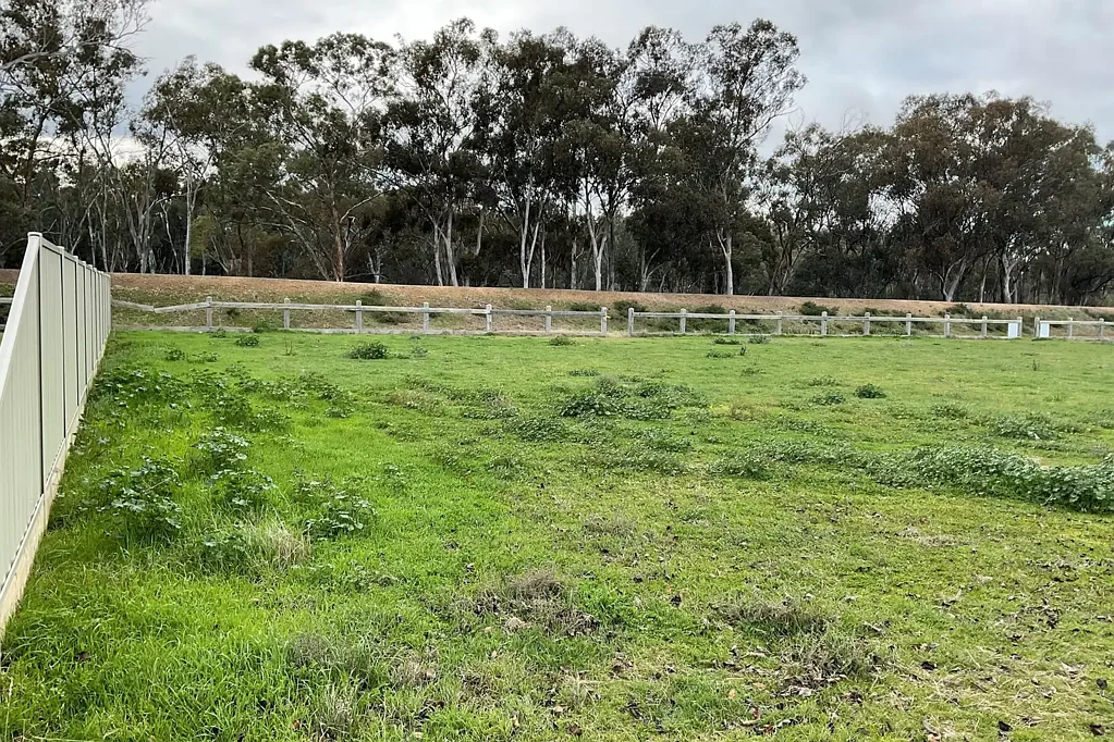 8 Horner Street, Cobram, VIC 3644