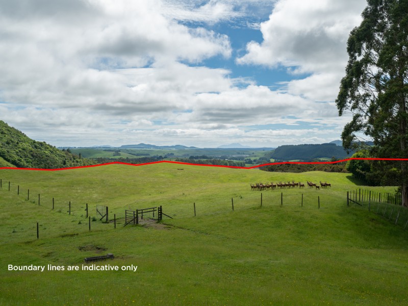 2603 State Highway 41, Kuratau, Taupo, 2 rūma, 0 rūma horoi