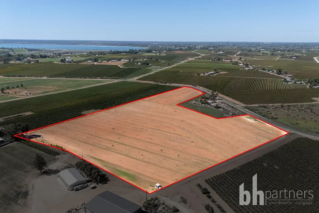 Barmera  Prime Irrigated Land Opportunity - 5.52 Ha (13.64 acres) in Cobdogla