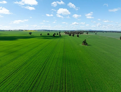 532 Cottee Road, Currawarna, NSW 2650, 0 ਕਮਰੇ, 0 ਬਾਥਰੂਮ, Lifestyle Property