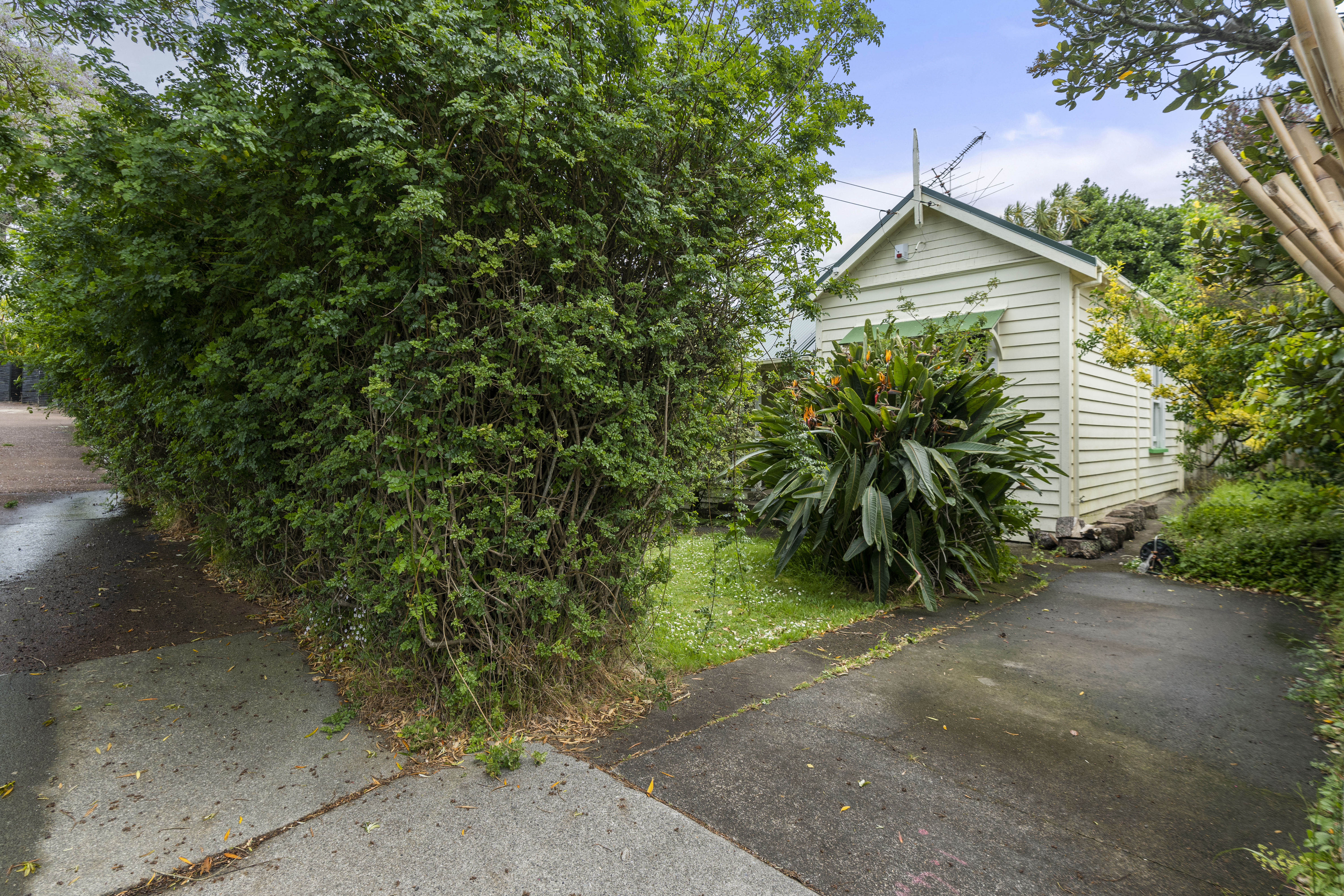 22 Dryden Street, Grey Lynn, Auckland, 3 chambres, 1 salles de bain, House