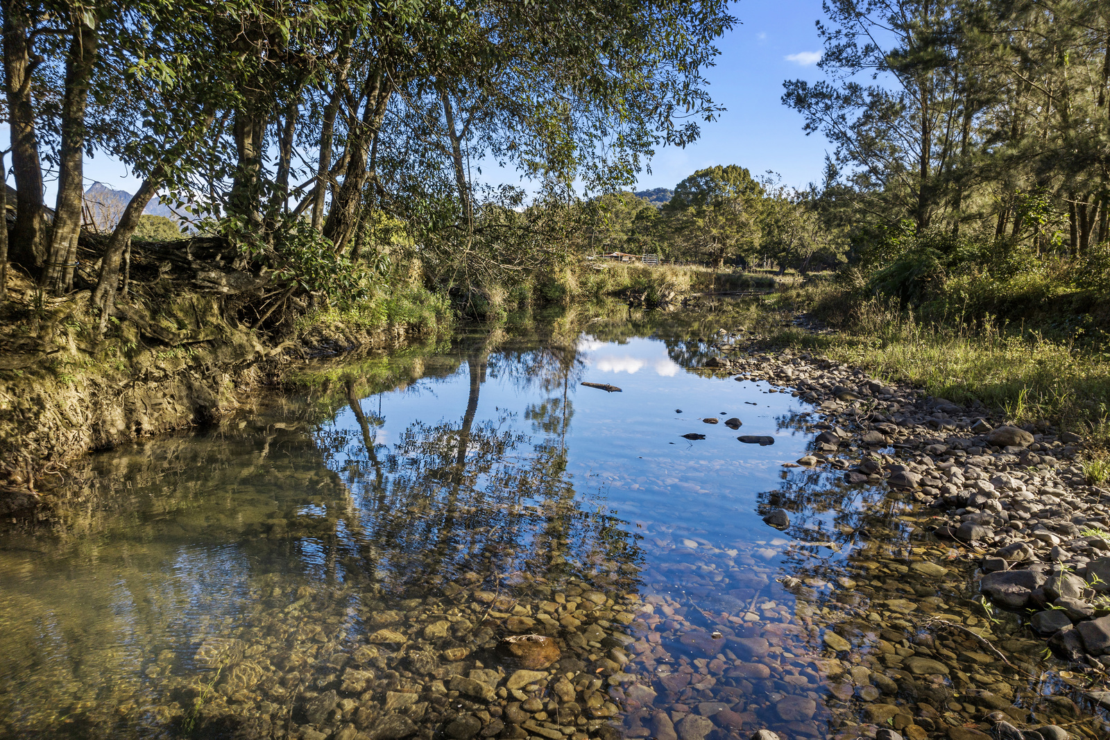 342 UPPER CRYSTAL CREEK RD, UPPER CRYSTAL CREEK NSW 2484, 0房, 0浴, Lifestyle Property