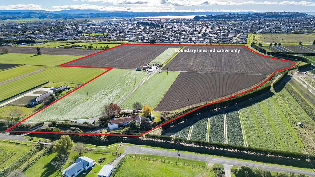 Meeanee Premium Rural Holding with Future Potential
