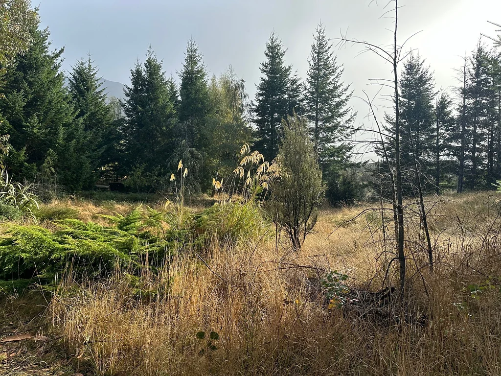 Lyford Nature's Retreat