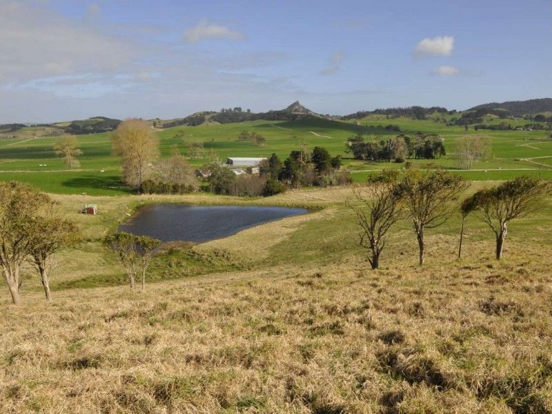 Dunn Road, Ruawai, Kaipara, 0房, 1浴