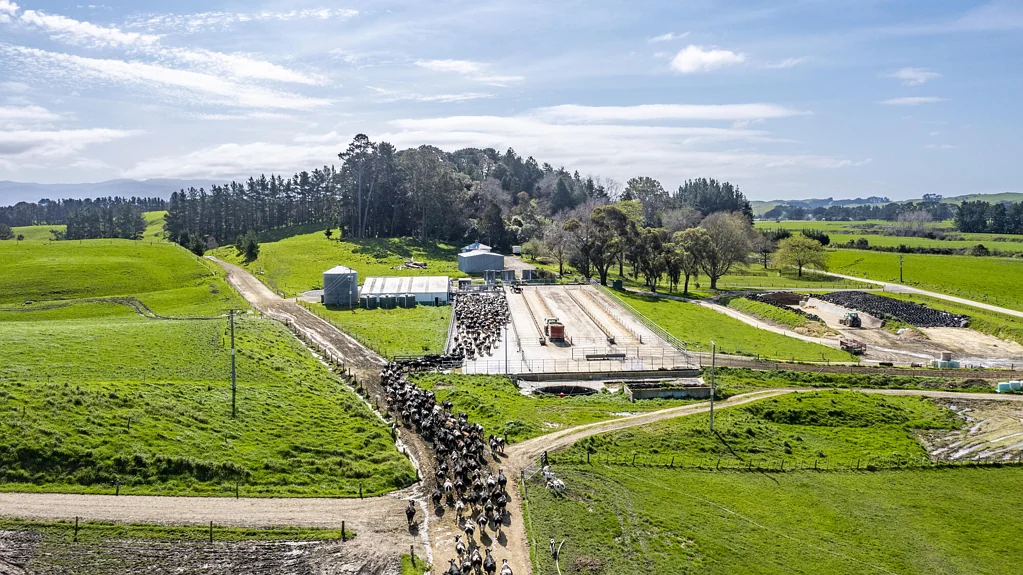 Ormondville  Premium Dairy Farm with purchase options