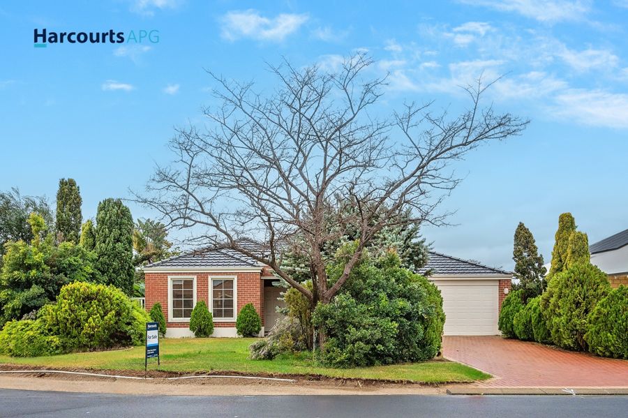 19 ALYXIA DR, GLEN IRIS WA 6230, 0 Kuwarto, 0 Banyo, House