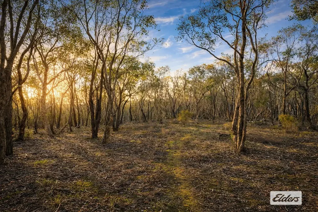 Emu Creek  5 Acres Close to Strathfieldsaye