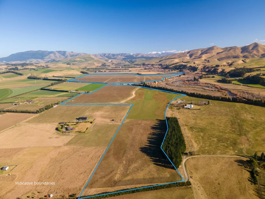 Waipara Scale with Value Add Potential