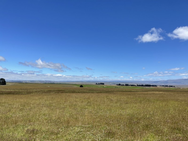 2 Bray Road, Middlemarch, Dunedin, 4 habitaciones, 0 baños, Grazing