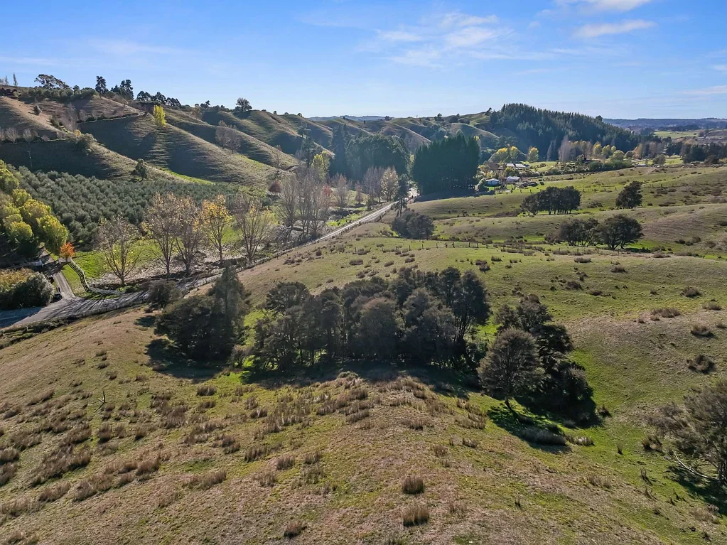 Upper Moutere  Price Reduced!