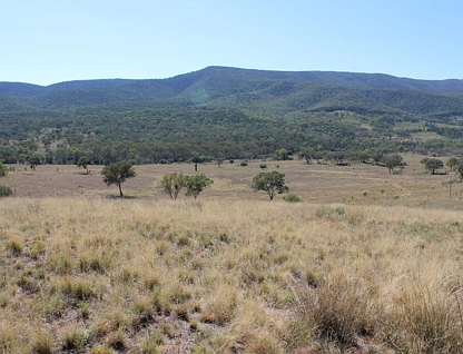 "High Valley" 243 Back Creek Road, Narrabri, Tamworth, 0 ห้องนอน, 0 ห้องน้ำ, Lifestyle Property