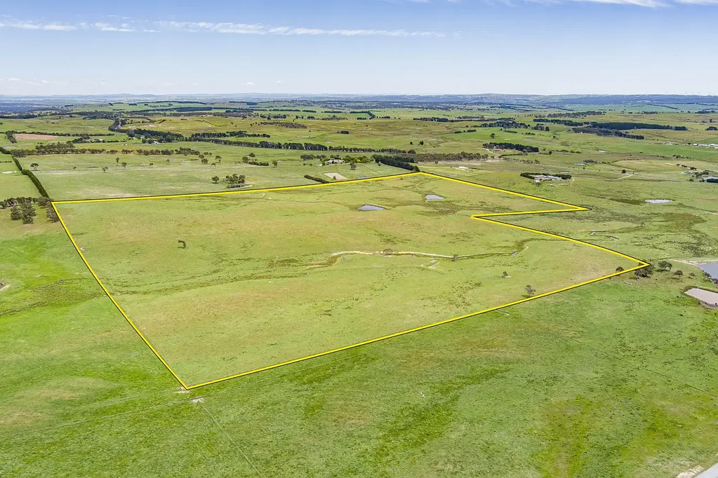Wayo 100 Acres Ready For A House!