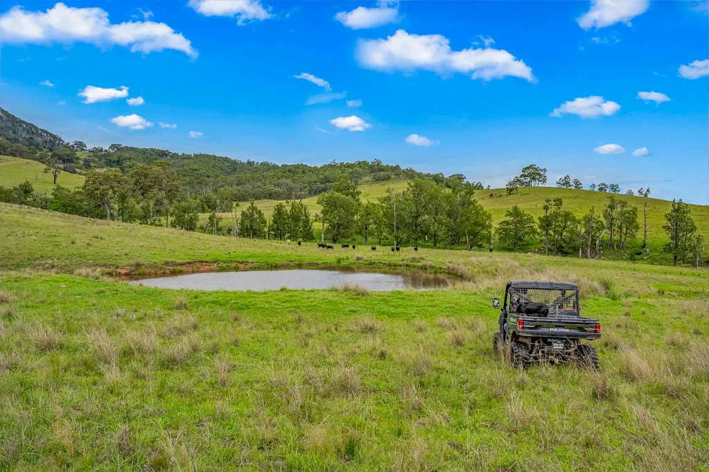 Singleton 94 Acres* (38Ha) at Mt Olive With Dwelling Entitlement & Creek Frontage