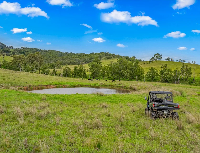 Carrowbrook Road Mount Olive, Singleton, Hunter, 0部屋, 0バスルーム, Lifestyle Property