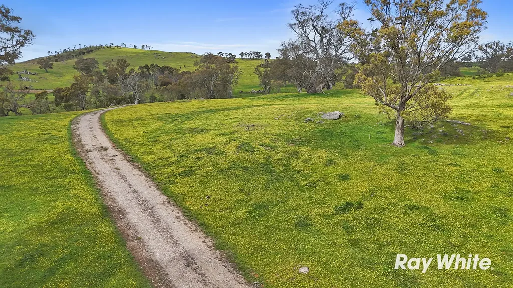 Lot 913 Military Road, Brukunga, SA 5252