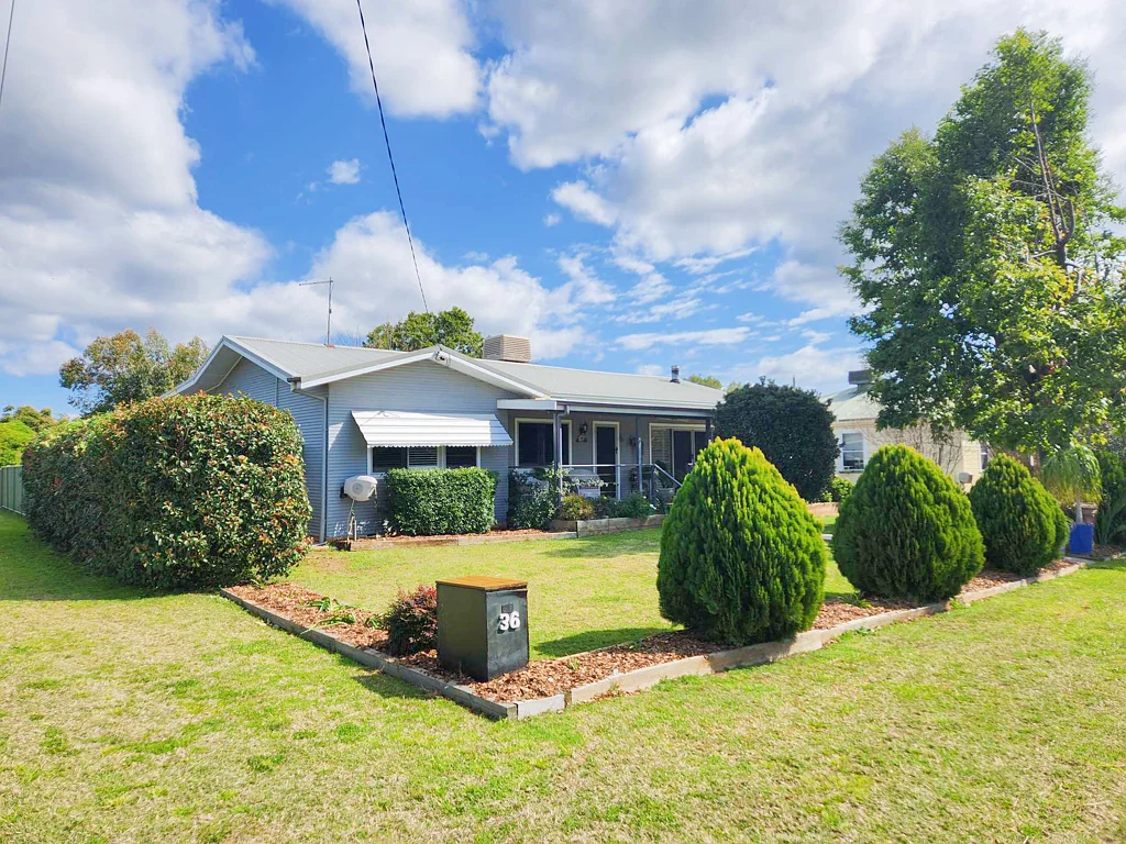 36 Riddell Street, Bingara, NSW 2404