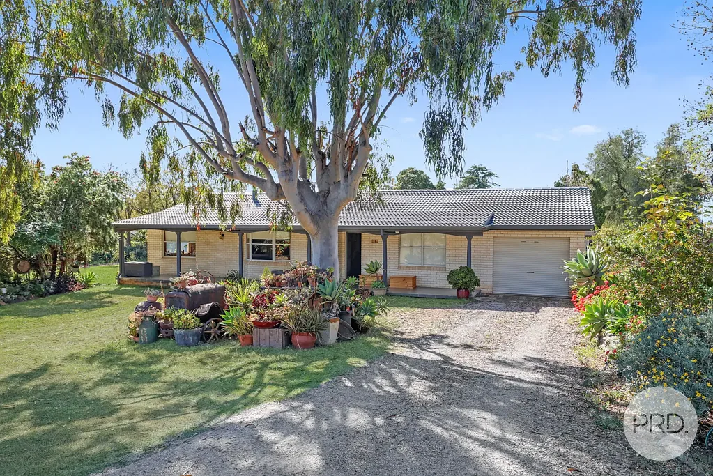 Tamworth 4房  Great Home on a Spacious Block