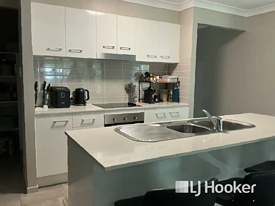 रसोईघर - 19 FIRETAIL AV, REGENCY DOWNS QLD 4341