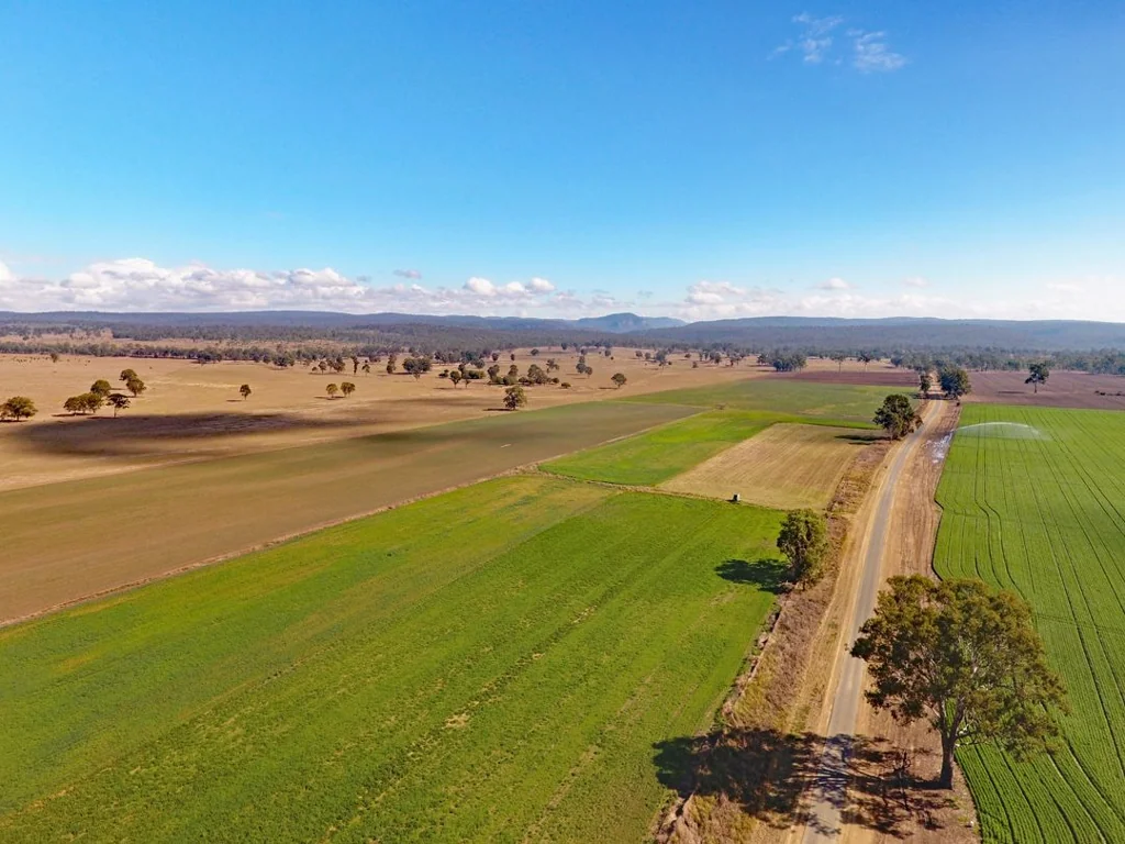 Monto Irrigation and Grazing, Perfect for Bull Depot or Horse Stud