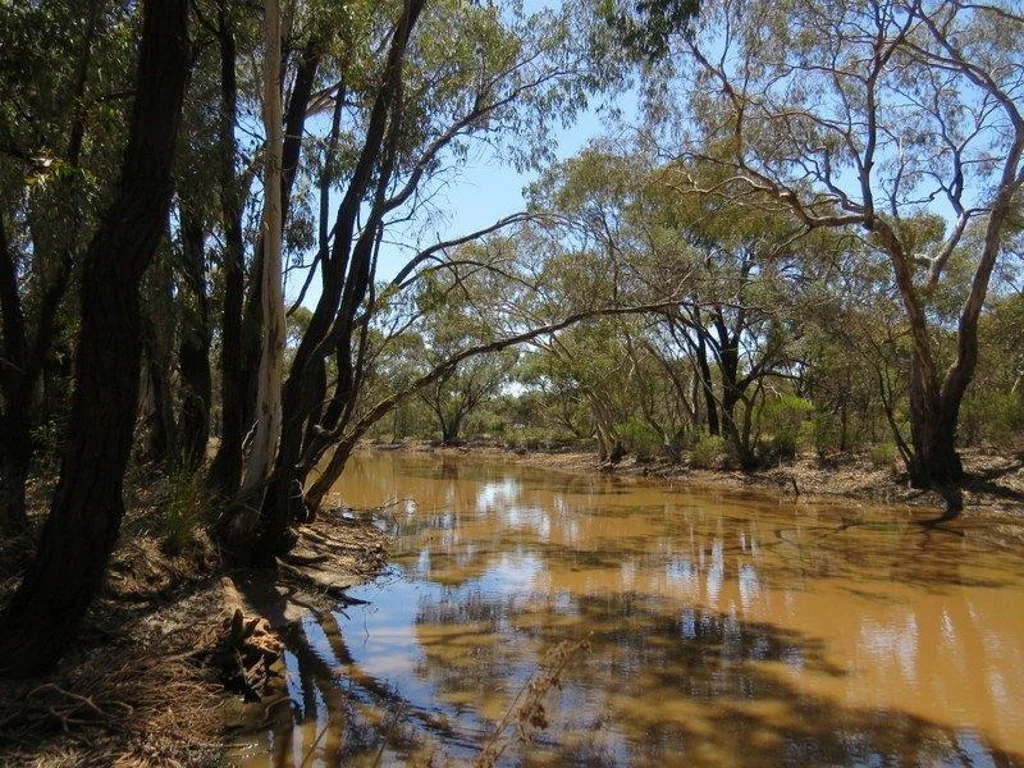 Wedderburn 150 ACRES PLUS HOUSE!