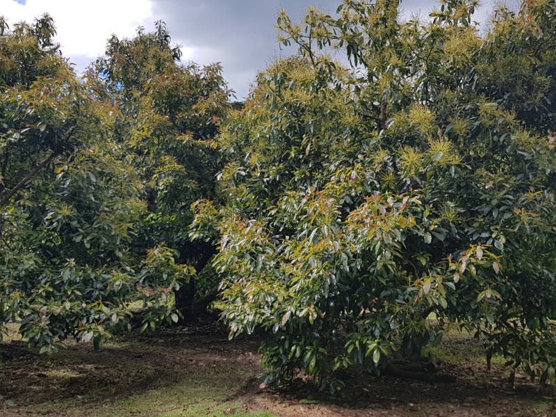 36 Knyvett Road, Aongatete, Bay Of Plenty, 0房, 1浴