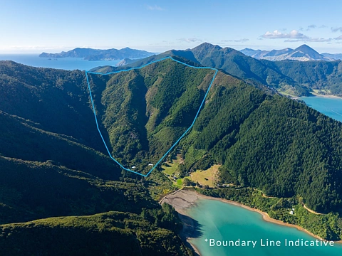 Okiwi Bay 7房  2 Bach's, income - No Reserve Auction!