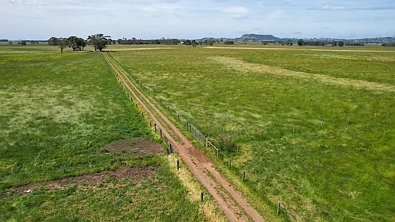 310 Chocolyn Road, Camperdown, VIC 3260, 3 rūma, 1 rūma horoi, Lifestyle Property