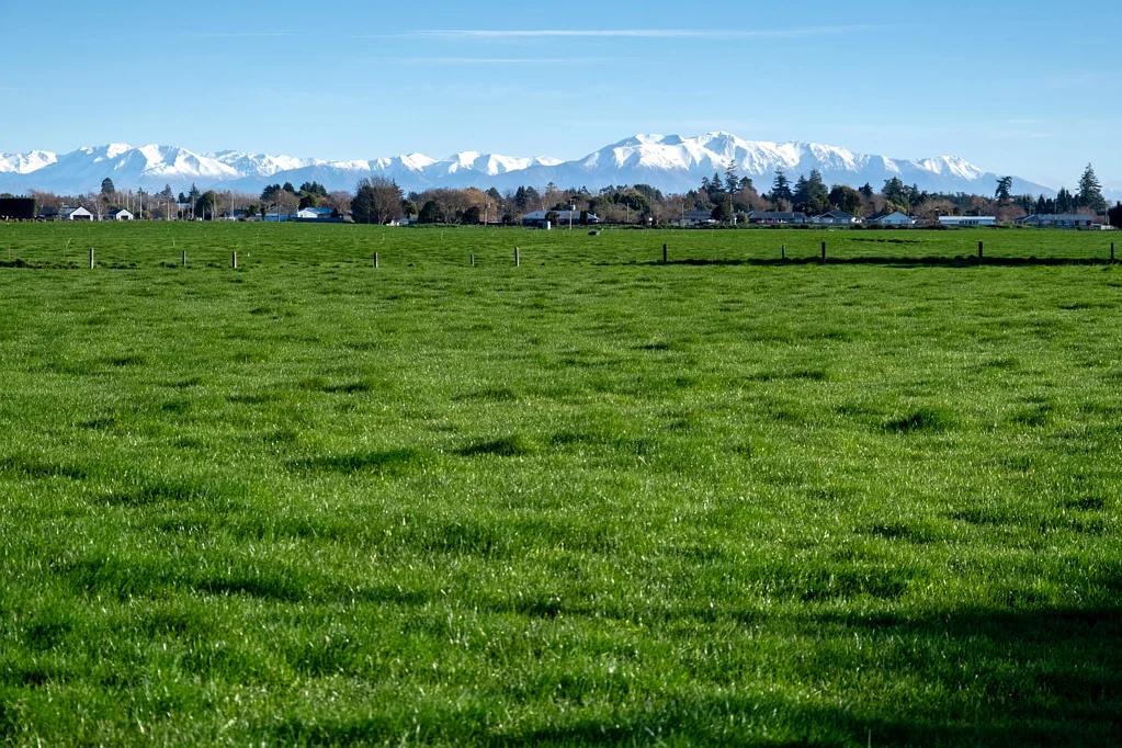 Rakaia Rakaia 8ha bareland investment