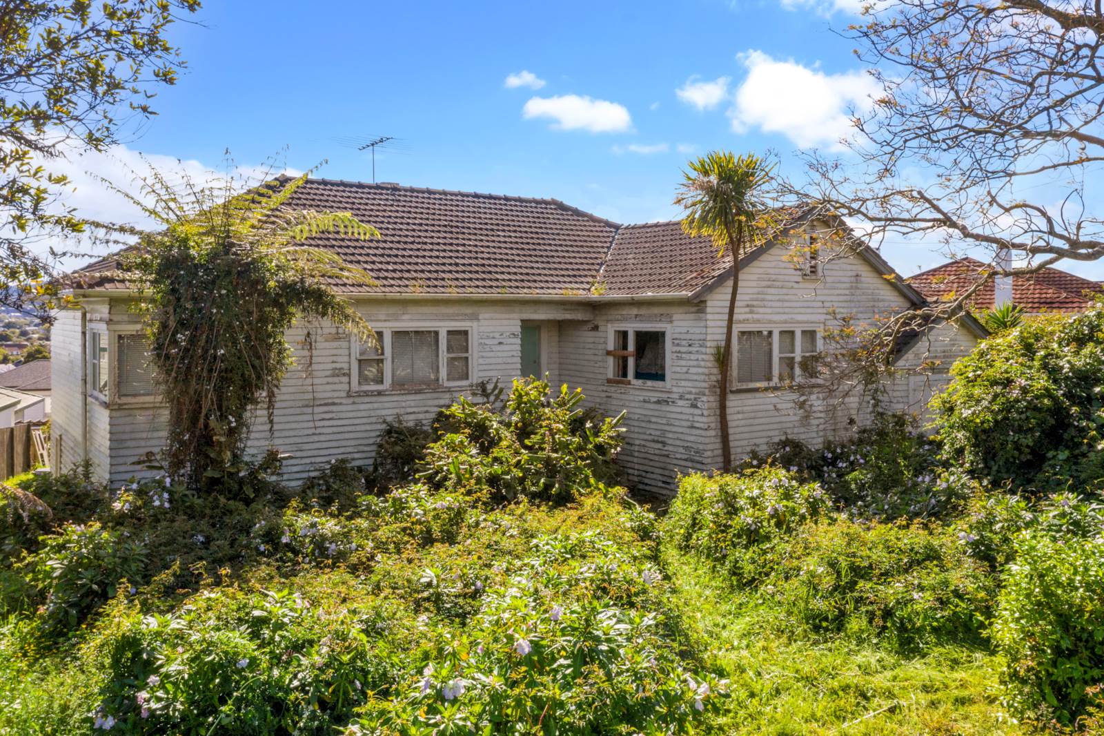 138 Mount Albert Road, Mount Albert, Auckland, 0房, 0浴, Section