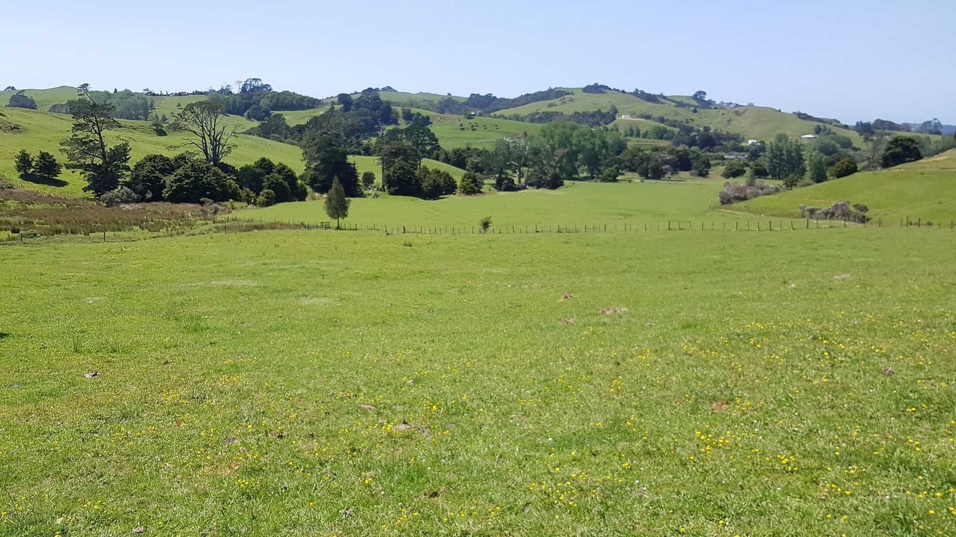 Matakana Valley Road, Matakana, Auckland - Rodney, 0 habitaciones, 1 baños