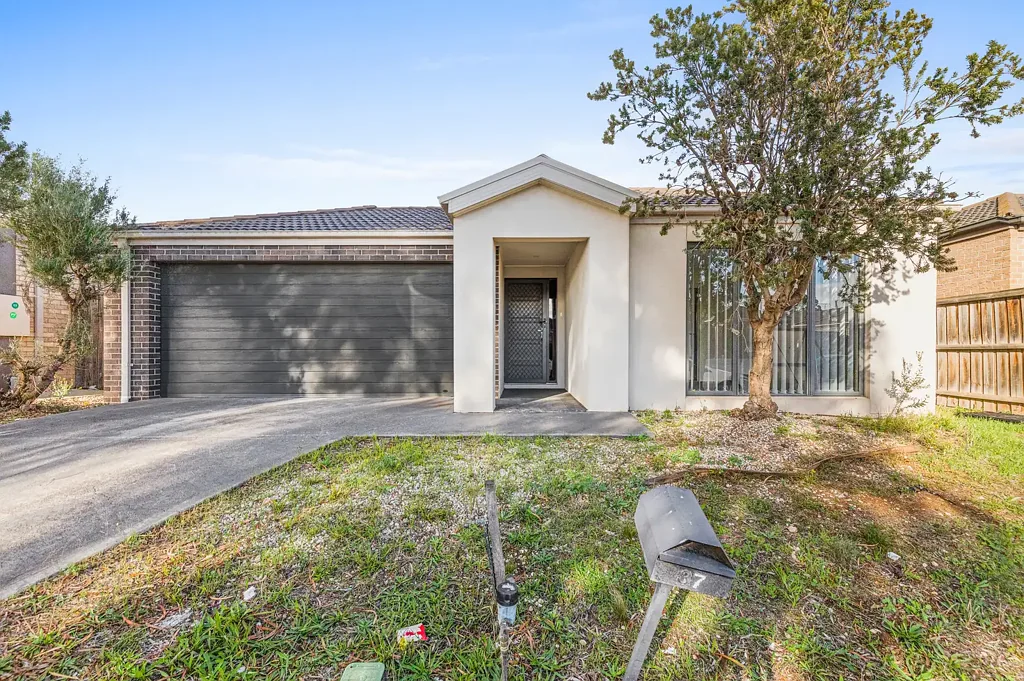 1 weeks free rent and New Carpet : Spacious Four bedroom family home