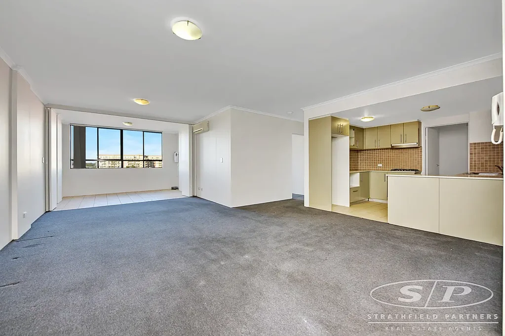 Light Filled Apartment