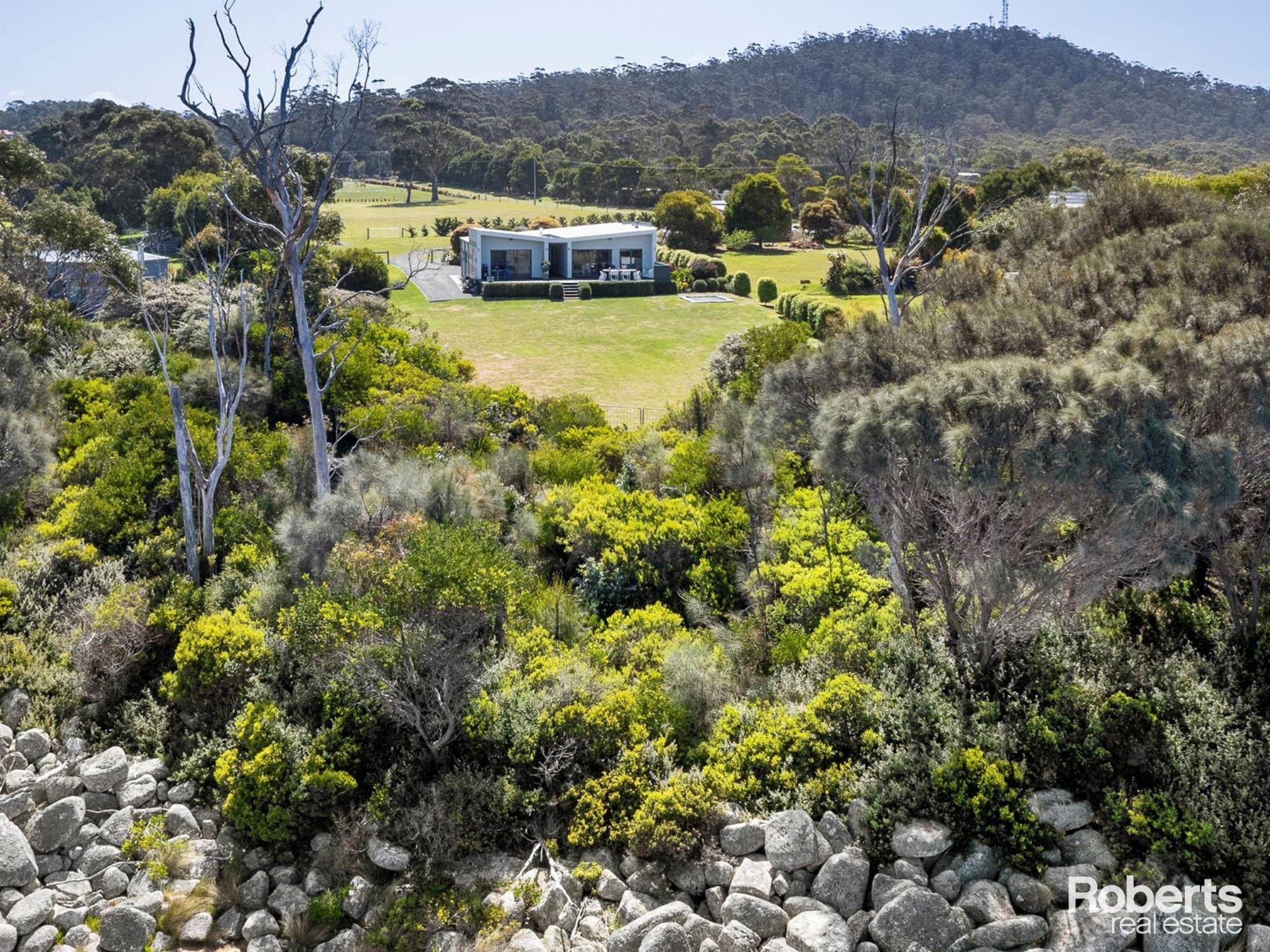 43 HARVEYS FARM RD, BICHENO TAS 7215, 0房, 0浴, House