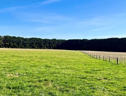  Cobden-South Ecklin Road, Cobden, Warrnambool and South West, 0房, 0浴, Lifestyle Property