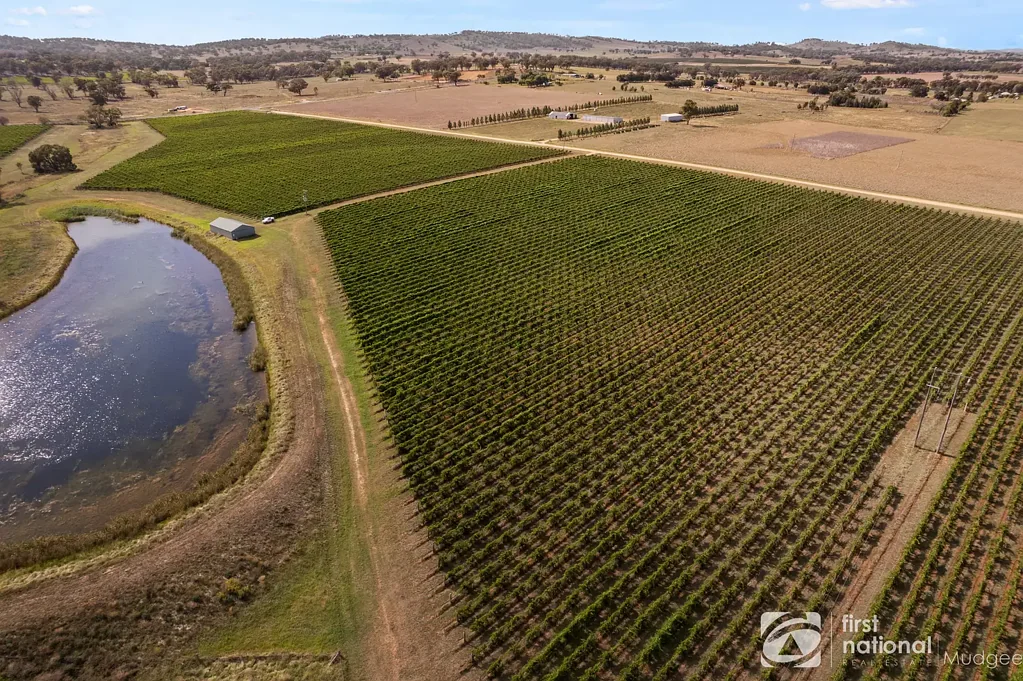 Gulgong  50AC VIEWS PRODUCTIVE LAND + WATER