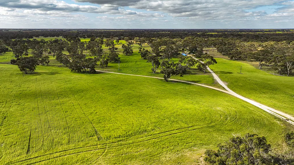 Bordertown Crop | Graze | Golf