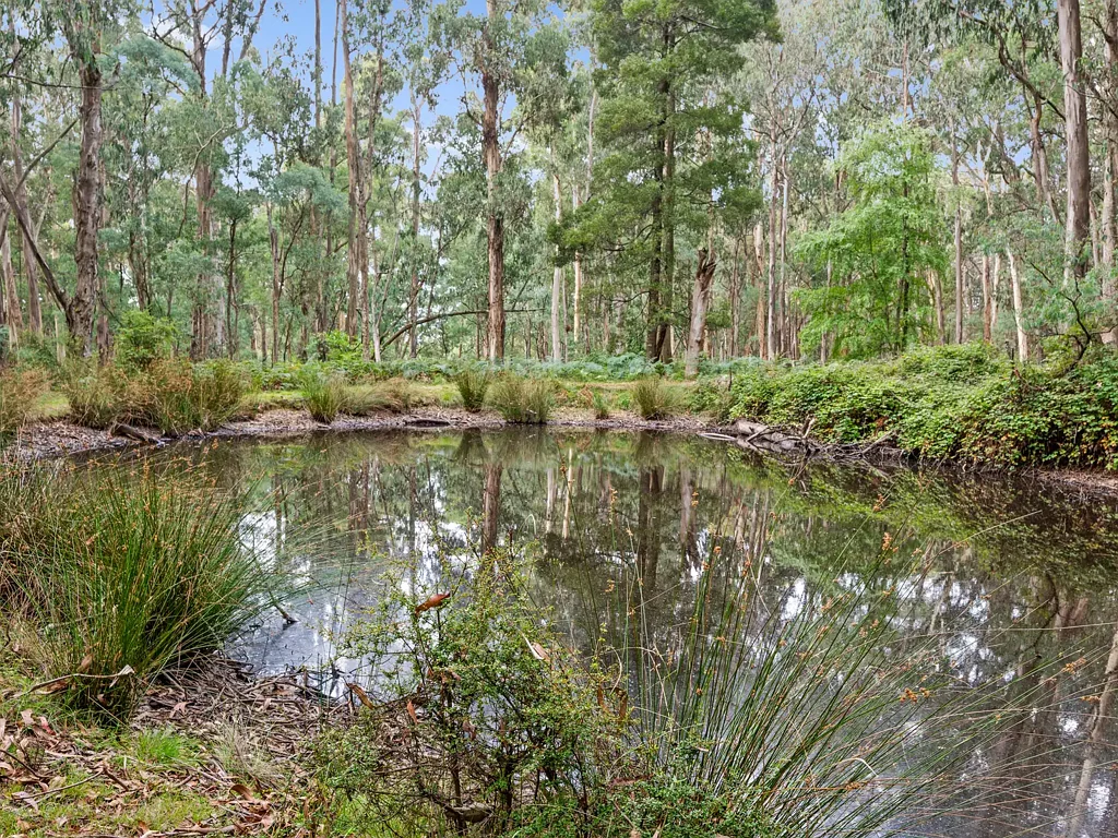 Tolmie  13 acres adjoining State Forest