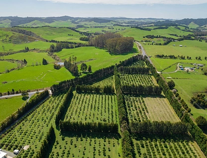 908A Te Ahu Ahu Road, Waimate North, Kerikeri, Far North, 0房, 0浴, 乡村别墅