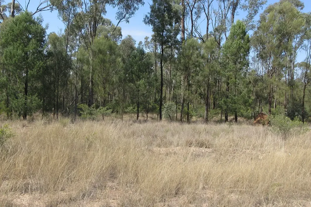 Tara  33 Acres in pretty Cartens Lane