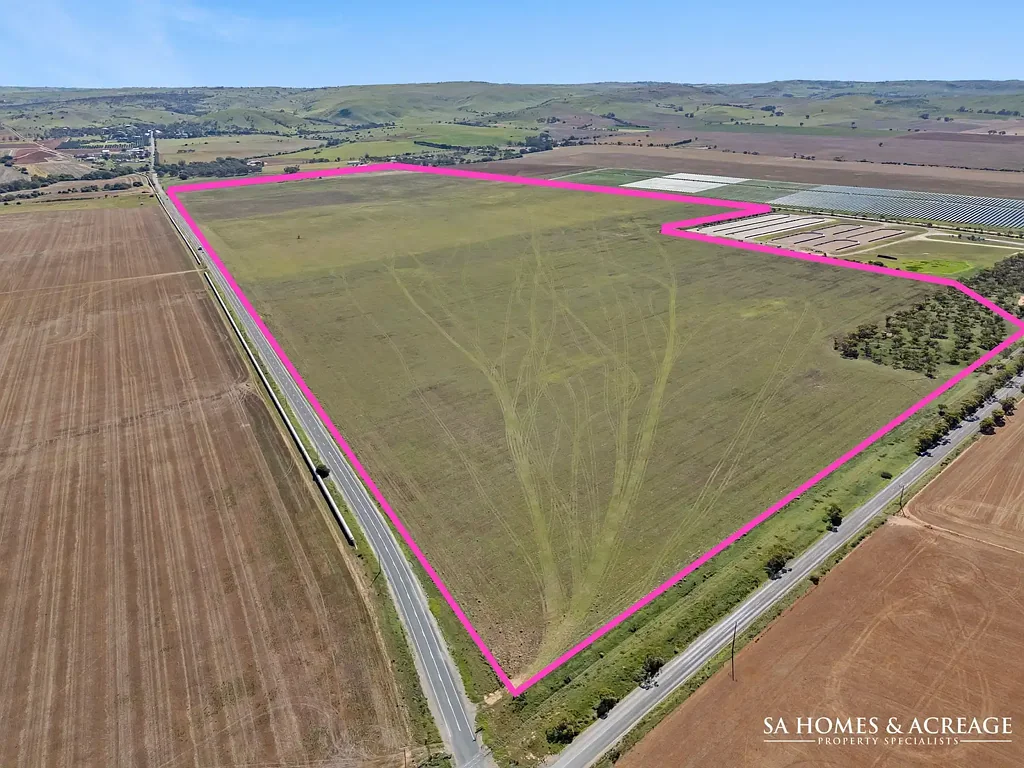 Palmer Endless Possibilities on Acres of Opportunity!