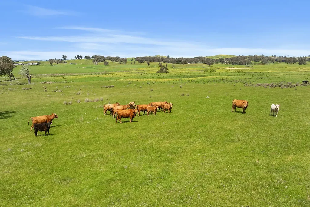 Merton Ultimate 80-Acre Lifestyle & Investment Opportunity