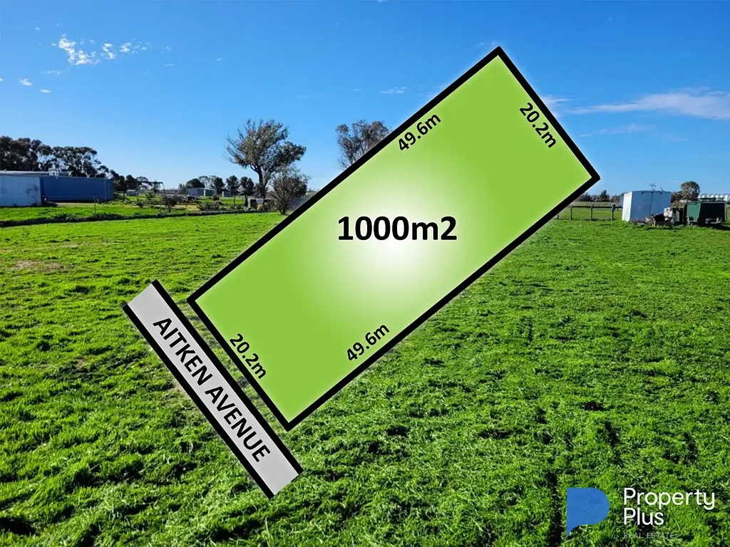 48 Aitken Avenue, Donald, VIC 3480
