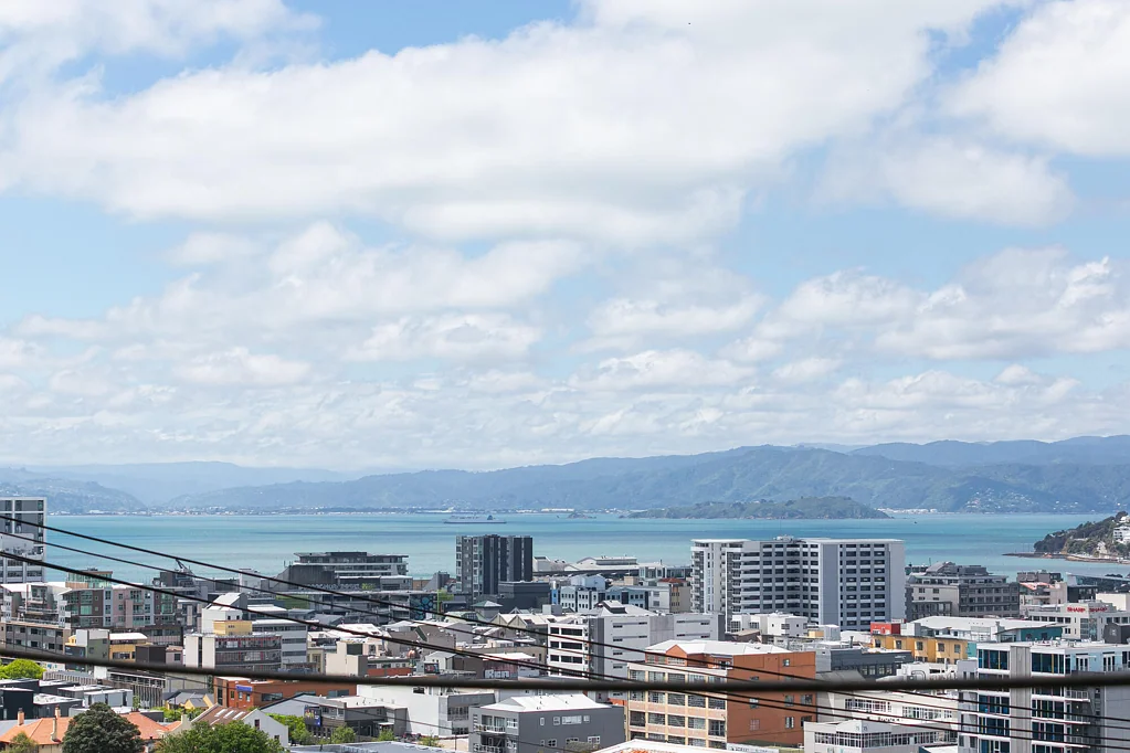 Aro Valley 5Zimmer Home & Income with Views & Potential