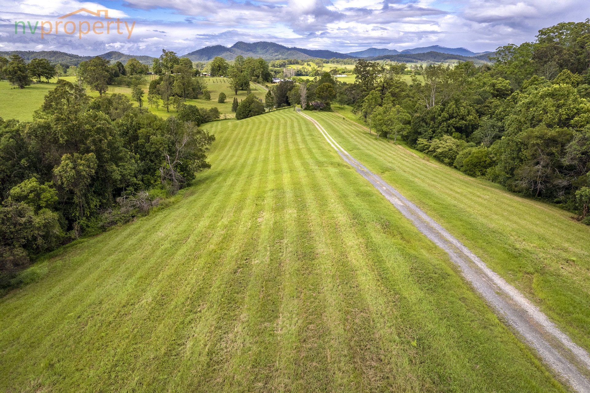 309 LOWER BUCKRA BENDINNI RD, BUCKRA BENDINNI NSW 2449, 0 chambres, 0 salles de bain, Lifestyle Property