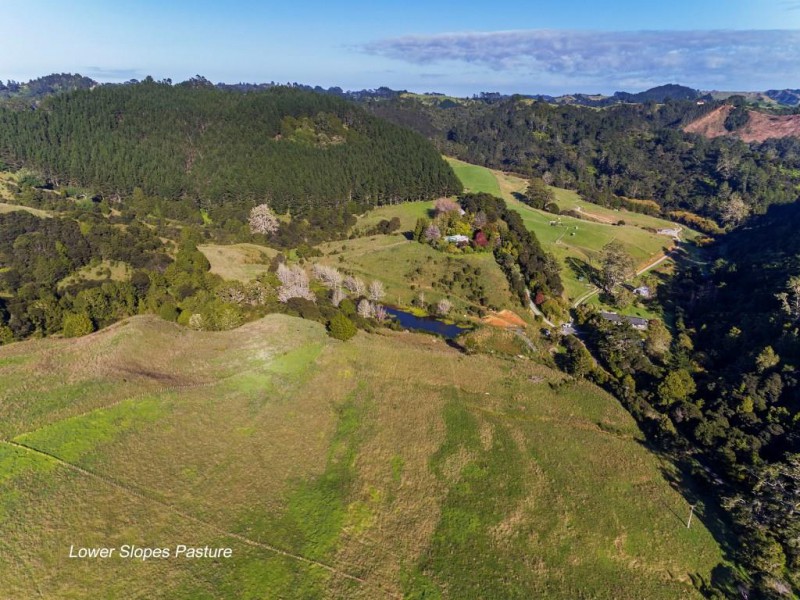 97 Saleyards Road, Puhoi, Auckland - Rodney, 4 Schlafzimmer, 0 Badezimmer