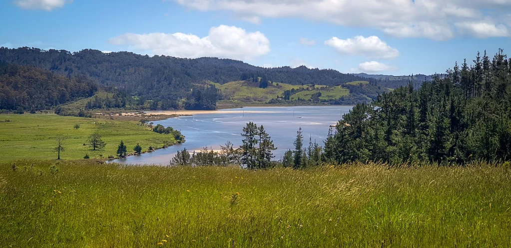 Pauanui  Hillswater - Exceptional Lifestyle