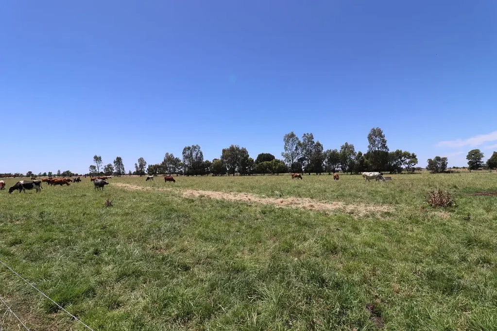 1899 Leitchville-Kerang Road, Macorna North, VIC 3568